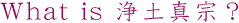 What is 浄土真宗？